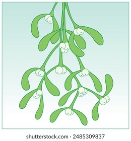 Hanging Bouquet of Festive Mistletoe on a cool background