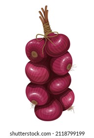 Colgando un montón de bombillas de cebolla roja. Hoja vertical de cebollas. Secando verduras, cabezas enteras con cebolla, ilustración vectorial.