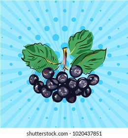 Hanging bundle of chokeberry on a blue background,lines,dots.Hand made in the style of pop art.Vector illustration.Eco