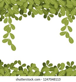 Hanging climbing vines with green leaves. Flat leaves hanging down. Floral pattern. Vector illustration on white background.