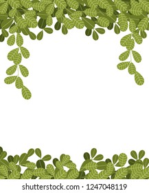 Hanging climbing vines with green leaves. Flat leaves hanging down. Floral pattern. Vector illustration on white background.
