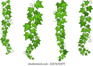 Hanging creeper branch set. Green natural vines