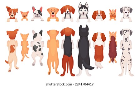Hanging dogs. Peeking pets front or back border, cartoon standing dog puppies hang head and paw on banner, row looking pet canine faces, peek animals ingenious vector illustration peeking out by puppy