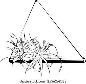 Hanging flower pot line art. Flat isolated  hand drawn home plants. Minimalist style vector illustration