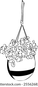 Hanging flower pot line art. Flat isolated  hand drawn home plants. Minimalist style vector illustration