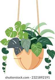 hanging flower pot, plant pot illustration, hanging flower pot, plant pot for home decor