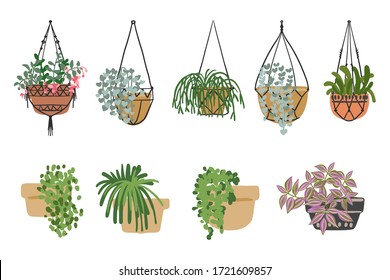 Hanging flower pots with flowers and plants. Macrame, modern home decor. Cacti and succulents