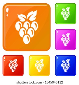 Hanging grape icons set collection vector 6 color isolated on white background