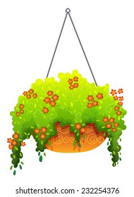 A hanging green houseplant on a white background 