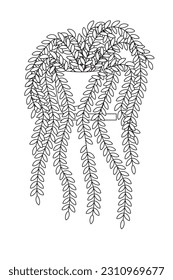 Colgando plantas de casa en ollas. Ilustración vectorial, elementos de diseño dibujados a mano. Plantas en ollas colgando de la página de colorear para niños y adultos