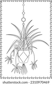 Hanging house plants in pots. Vector illustration, hand drawn decorative design elements coloring page