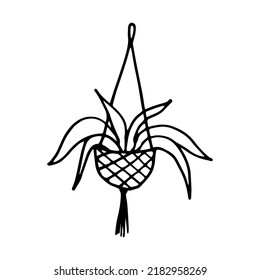 Hanging houseplant doodle style vector illustration isolated on white background