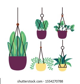Hanging houseplants inside pots design, Garden ornament nature botany natural and floral theme Vector illustration
