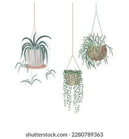 Hanging houseplants set in flowerpots. Flat hand drawn isolated vector illustration. Foliage for modern office or home decor. Cute flowers for urban jungle garden