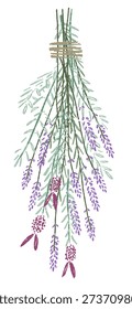 Hanging Lavender Flower Bundle Illustration for Herbal Decor