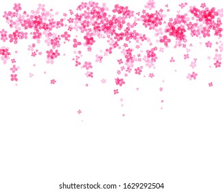 Hanging luch of cherry blossom. Simplistic floral design element. Isolated vector decoration.