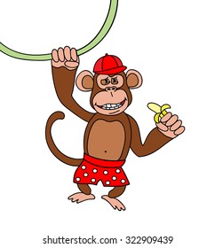 hanging monkey with banana