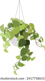 Hanging Neon Pothos Devil's Ivy Plant Vector