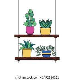 Hanging pants inside pots design, Garden ornament nature botany natural and floral theme Vector illustration