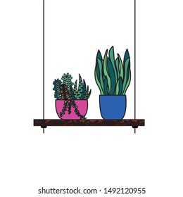 Hanging pants inside pots design, Garden ornament nature botany natural and floral theme Vector illustration