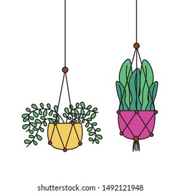 Hanging pants inside pots design, Garden ornament nature botany natural and floral theme Vector illustration