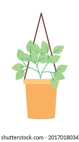 Hanging Plant Icon On White Background