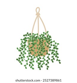 Ilustração de planta suspensa - 10