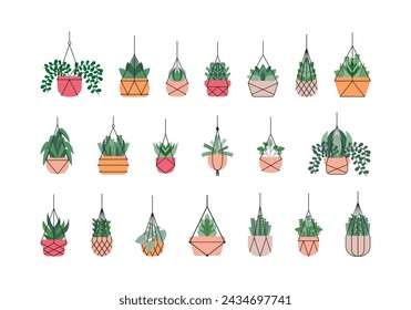 Hanging Plant Illustration Element Set