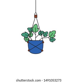 Hanging plant inside pot design, Garden ornament nature botany natural and floral theme Vector illustration