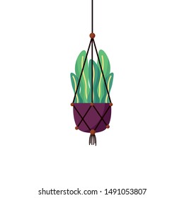 Hanging plant inside pot design, Garden ornament nature botany natural and floral theme Vector illustration