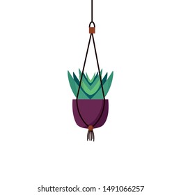 Hanging plant inside pot design, Garden ornament nature botany natural and floral theme Vector illustration