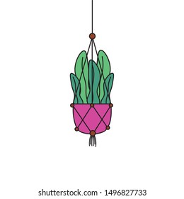 Hanging plant inside pot design, Garden ornament nature botany natural and floral theme Vector illustration