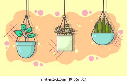 Hanging plant vector collection which is a home decoration with a background in orange and beige. plant vector. home decoration. cartoon flat. vector illustration.can be used for background and banner