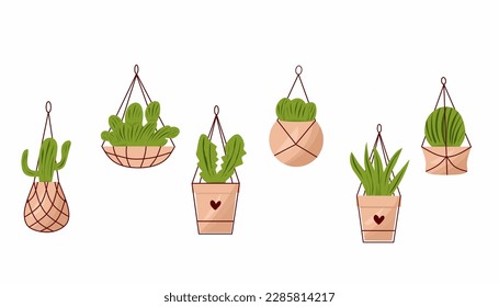 Hanging plant vector illustration set isolated on white background. Cactus, Green house plant, ornamental, cartoon style.