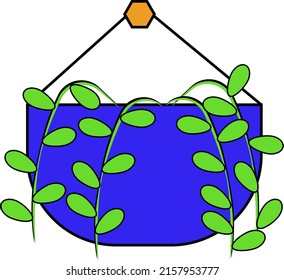 hanging planters hanging plants green creepers