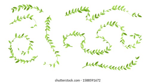 Hanging plants with green leaves. Simplistic foliage ornate design elements. Set of isolated vector decorations.