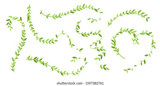 Hanging plants with green leaves. Simplistic foliage ornate design elements. Set of isolated vector decorations.