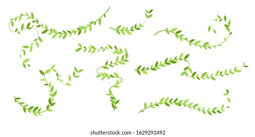 Hanging plants with green leaves. Simplistic foliage ornate design elements. Set of isolated vector decorations.
