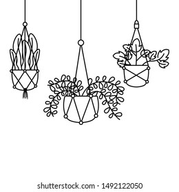 Hanging plants inside pots design, Garden ornament nature botany natural and floral theme Vector illustration