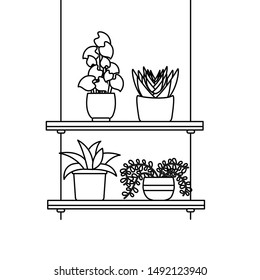 Hanging plants inside pots design, Garden ornament nature botany natural and floral theme Vector illustration
