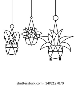 Hanging plants inside pots design, Garden ornament nature botany natural and floral theme Vector illustration