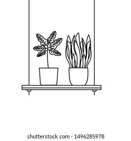 Hanging plants inside pots design, Garden ornament nature botany natural and floral theme Vector illustration