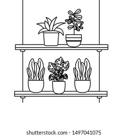 Hanging plants inside pots design, Garden ornament nature botany natural and floral theme Vector illustration