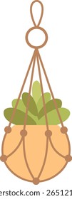 Plantas penduradas em macrame criam uma conexão vibrante com a natureza em ambientes fechados, melhorando o ambiente acolhedor e elegante perfeito para a decoração da casa e atraente para os entusiastas das plantas