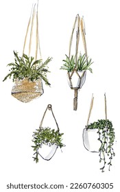 Hanging plants planters set, house plants, spider plant, string of hearts. Isolated vector.