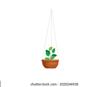 Hanging pot with Plant - Vector Image