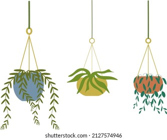 Hanging Pot plants in flat style  vector illustration. Home hanging plant set green leaves. 