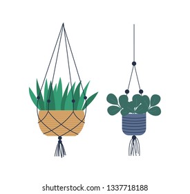 Hanging pots with fishnet vector, special containers with soil for plants. Houseplants isolated set, flora floral variety, foliage and leaves of flowers