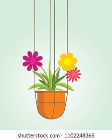 hanging pots flower
