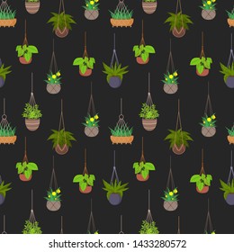 Hanging pots with plants seamless pattern background. Houseplant and flowerpot hanging, growth blossom flower illustration